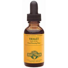 Herb Pharm - Violet Extract - 1 oz. (29.6 ml) Herb Pharm Violet Extract. Herb Pharm prepare their Violet Extract from fresh (undried) flowering Viola tricolor plants which are Certified Organically Grown on Their own farm without the use of chemical fertilizers, pesticides or herbicides. to assure optimal extraction of Violet's bioactive compounds, the plants are hand harvested only when in full-flower, and are then taken directly to their laboratory and promptly extracted while still fresh and succulent. Herb Pharm's Violet is never fumigated or irradiated. Single herb extracts are exactly what the name implies - a solitary herb, typically in a base of certified organic alcohol. Benefits of VioletsViolets have been used to improve acne, anger, asthma, bronchitis, colds, eczema, fever, fibrocystic breast disease, grief, headache, heartbreak, lymphatic congestion, mastitis, mumps, psoriasis, scurvy, sore throat, ulcers, urinary tract infection, varicose veins, and whooping cough. Apply a cloth soaked in violet leaf and/or flower tea to the back of the neck to treat headaches. The flowers are eaten as a breath freshener. Violet flowers essence helps those that feel lonely, despite being surrounded by others. It increases openness and helps shy aloof people that want to share but feel overwhelmed. Why Liquid Extracts? Herb Pharm Liquid Herbal Extracts - Your most effective herbal solution! After 30-plus years of manufacturing quality herbal medicines, Herb Pharm continues to produce primarily liquid herbal extracts. While we do manufacture a number of topical products, along with our Super Echinacea capsules and Pharma Kava capsules (both of which are made from the dried liquid extract), Herb Pharm remains the leading manufacturer of liquid herbal extracts in the United States. Tens of thousands of educated herb consumers around the country recognize the advantages of taking their medicines as liquids.