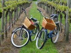 Spend a charming afternoon pedaling your way across North Fork's pastoral wine country with seasoned tour guides from East End Bike Tours. Your guided 13-mile journey (most of which is flat, comfortable terrain) begins and ends on Love Lane and will include stops at a local farm stand and several beautiful vineyards. $78 ($158 value) for the five-hour A La Carte bike tour for one person, including: Seasoned tour guide Stops at hand-picked vineyards with live music Breathtaking views of the tranquil Peconic Bay Artisanal tastings of fine vinegar and olive oils Unlimited refreshments throughout your tour Stop at a local farm with jams, pies, and fruits available for purchase Beginning and ending on Love Lane, providing an excellent opportunity to do some boutique shopping "This was worth every penny. I loved the tour, had a great experience, and the staff was incredibly hospitable. Huge thumbs up, here." - LivingSocial Member "I would attend any event this company hosts! They were professional, friendly and organized. It was an amazing day!" - LivingSocial Member Pedal Your Palate to Thrilling New Tastes During this guided, 13.5-mile outing - which includes bikes, safety equipment, and unlimited refreshments - you'll take in arresting sites of Peconic Bay, historic landmarks, and, of course, a couple of hand-picked wineries. Pro Tip: A Greek Village-Style Lunch will be available if your stomach starts to growl, and wine tastings can also be added to your package for an additional fee - call ahead three days in advance. East End Bike Tours Website Facebook