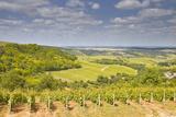 Vineyards Near to Sancerre in the Loire Valley. an Area Famous for its Wine Photographic Print by Julian Elliott. Product size approximately 16 x 24 inches. Available at Art.com. Embrace your Space - your source for high quality fine art posters and prints.