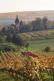 Vineyards in Autumn, German Wine Route, Pfalz, Rhineland-Palatinate, Germany, Europe Photographic Print by Marcus Lange. Product size approximately 16 x 24 inches. Available at Art.com. Embrace your Space - your source for high quality fine art posters and prints.