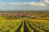 Vineyard Landscape and Maikammer Village, German Wine Route, Rhineland-Palatinate, Germany, Europe Photographic Print by Jochen Schlenker. Product size approximately 16 x 24 inches. Available at Art.com. Embrace your Space - your source for high quality fine art posters and prints.