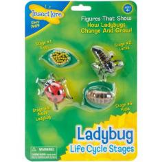INSECT LORE-Life Cycle Stages Sets. Oversized, anatomically accurate figures show how insects and other creatures change as they grow! Great for your budding scientist! Each figure is made of durable, flexible plastic and features details and colors specific to each insect or creature. This package contains Ladybug: 4 piece set. Conforms to ASTM F963. Recommended for ages 4 and up. WARNING: CHOKING HAZARD-Small Parts. Not for children under 3 years. Imported.
