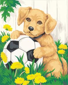 DIMENSIONS-Paintworks: Paint by Number Kit: Puppy & Soccer Ball. Learn to Paint! Beginning artists need a comfortable place to start with Paintworks Kits and that is just what they get! Even easy designs can be great designs and ones that painters can be proud to display! This kit contains one 10x8in printed board, paint pots, and brush. Designer Info: Todd Trainer. Non-toxic: Conforms to ASTM D4236. Warning: Choking Hazard-small parts and sharp points. Not for children under 3 years. Made in USA.