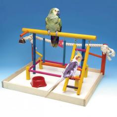 Full-loaded activity center to keep birds active. Place it on top of the cage to give birds a change of scenery. Features rope perches, ladders, swings, bells and toys. Choose from several sizes (based on availability). Playpens have more perches and ladders as they get bigger. Configuration of equipment varies by each model. Sizes and bird recommendations: Small measures 9L x 9W x 9H inches Small is ideal for Parakeets and other small birds Medium measures 9L x 11W x 10H inches Medium is ideal for Parakeets and other small birds Large measures 10L x 14W x 10H inches Large is ideal for Parakeets and CockatielsExtra large measures 19L x 15W x 12H inches Extra large is ideal for Cockatiels and small parrots About Penn Plax: Penn-Plax is a family-owned company in operation since 1959. They specialize in creating excellent pet supplies for animals both great and small. Best known for producing pet products at affordable prices, the Penn-Plax brand is synonymous with innovation and quality, keeping your pet foremost in mind. Size: Extra Large.
