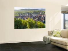 Giant Art Print decor by Peter Adams. Old Wine Town of Riquewihr and Vineyard; Alsace; France; and other oversized products; laminated oversized art; oversized art subjects; travel oversized art wall art; posters; and prints for home wall coverings are available.