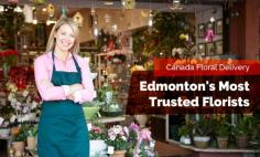 Contact Canada Floral Delivery for beautiful and fresh flower collections for your wedding, birthday parties, reception and other occasions. We also offer great corporate discounts for your business in and around Edmonton.