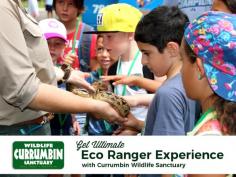 Become an Eco Ranger at Currumbin Wildlife Sanctuary! Kids aged 6-12 years can enjoy this awesome experience and interact with the Sanctuary’s wildlife and enjoy fun games and activities. Visit our website for detailed information. 