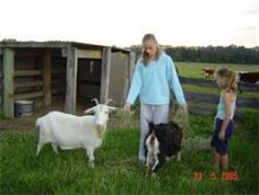 Dusodie Holiday Farm - Activities