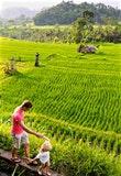 Bali with children: seven things to keep the kids happy