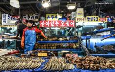 Image result for south korean seafood market