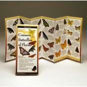 Folding Guide - Butterflies of Florida