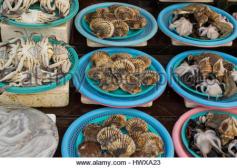 Image result for south korean seafood oyster