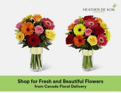 Want beautiful flowers? Visit Canada Floral Delivery. Here, you will not only get fresh and beautiful flowers but also timely delivery. We do our best to provide same day flower delivery all over Canada.  