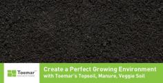 At Toemar, we sell high quality topsoil, veggie soil and cattle manure & overseeding soil that helps gardeners in creating the right growing environment so that vegetables, grass and flowers can grow properly.