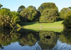Plan your visit to the Royal Botanic Gardens, Melbourne