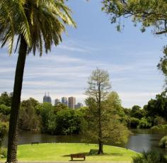 A view of the gardens with Melbourne CBD in the background