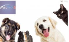 AeroPets Animal Transport is an international pet transport company, providing interstate and overseas pet relocation services. Here, we maintain the highest level of pet safety and wellbeing, as well as excellent customer service for pet owners. For more info, visit our website.