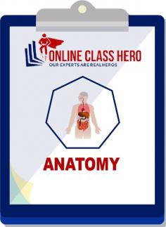 Can I pay someone to take my online anatomy class for me? Yes, for sure! You can hire the experts of Online Class Hero now! ONLINE CLASS HERO, a USA based company, is here to help you. We believe in supporting every struggling student. We will take your Online Anatomy Class for you! Now you can get more time to read books and study while Online Class hero takes the responsibility to take your class. We understand the needs of medical student's.