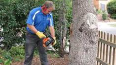 A great majority of homes in mainland Australia are at risk from termite attack. The Australian Standard recommends at least annual inspections on termites.