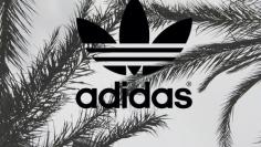 adidas trees