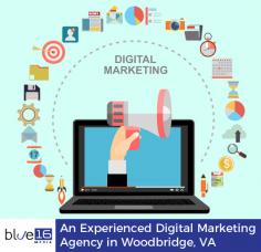 Looking for an experienced digital marketing company in Woodbridge, VA? Get in touch with Blue 16 Media. We have the experts and expertise to help your business get more customers and profit. Get in touch today.
