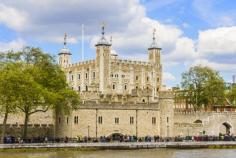 London Thames River 1-Day Hop-On Hop-Off Sightseeing Cruise 2019