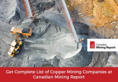 Looking for copper mining companies and want to explore investment opportunities? Get in touch with Canadian Mining Report. Here, you will be provided with complete information on copper mining stocks, companies, prices, and news.