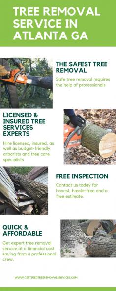 Hire Affordable Tree Removal Experts in Atlanta

Certified Tree Removal Services is a team of professionals that offers a complete set of tree and stump removal services for your home or business. We are dedicated to providing exceptional work at affordable pricing.

https://certifiedtreeremovalservices.com/