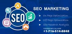 We are providing innovative, efficient, effective, creative, innovative, fresh complete Digital Marketing Services USA to the businesses who want to grow online, attract the maximum amount of the customers or visitors to their websites and want to increase the profit at the desired level. 