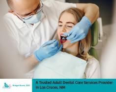 When it comes to search for an adult dental care service provider in Las Crues NM, Bridget Burris, DDS is your trusted dentist. He specializes in providing an alternative approach to relieving headaches, relief from snoring and sleep apnea, and relieving problems from TMJ/TMD.