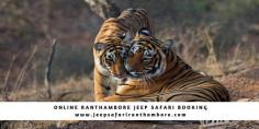 Visit Ranthambhore National Park today and enjoy ranthambore jeep safari and get a chance to spot the tiger in Ranthambhore Tiger Reserve.  The tiger reserve covers an area of 392 km, and is famous for its tiger population, and include the major wild animals like tiger, sambar, nilgai, dholes, sloth bear, wild boar, leopard, hyena and chital. It is also home to a wide assortment of trees, plants, birds and reptiles. Ranthambhore National Park also has one of the biggest banyan trees in India.
Explore best deals on wildlife vacation packages at the lowest prices. For Booking call us on + (91)-9810226091, 9999776081/ limrahospitality@gmail.com or visit http://www.jeepsafariranthambore.com/.
