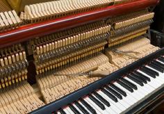 For professional piano tuning and repair services, turn to PIANO TUNER PERTH - STEPHANIE KELLY Service in South Perth, WA. Our piano tuning services help you experience the fullest possible sound and beauty from your piano. Call us today 0427316319. 