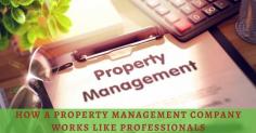 How A Property Management Company Works Like Professionals