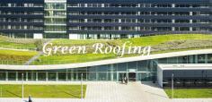 
If the roof of a building is covered with plants and grass then it is a green roof building. It is also known as living roof and rooftop garden.  Sometimes the roof of a building is partially covered with vegetation and sometimes it is completely covered.

Click or copy this link, open it on browser and Read full blog: https://bit.ly/30S97tq

Contact with us:

Email: jamesnaples@hotmail.com  

Phone: (716) 715-0756