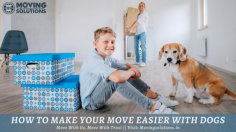 How To Make Your Move Easier With Dogs