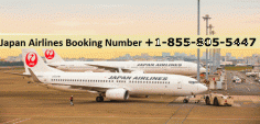 There was a blunder associating with the Japan Airlines Reservations framework. Potential reasons: It has been over 10 minutes since your last activity. Change setting up for the JAL site. In the event that your unique ticket meets ALL the conditions underneath, you may change the booking. More information Call us +1-855-805-5447


https://www.thecustomerservicenumber.com/japan-airlines-customer-service/