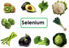 Selenium is an herbal element used in Natural Remedies for Motor Neuron Disease worldwide. Helpful properties of Selenium used in large numbers of Motor Neuron Disease Natural Treatment and many other diseases.
