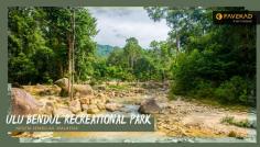 Rainforest Ecards come with a refreshing outlook and they will surely enliven the receiver.

More information:- https://www.favekad.com/contact