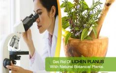 We sell original Herbal Products composed of Natural Herbs Clinic obtained from the world’s top botanic gardens under the cautious administration of experts.