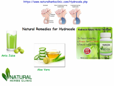 For Natural Treatment for Hydrocele, there are lots of opportunities accessible for hydrocele patients. There are various Natural Remedies for Hydrocele is accessible in the market.... https://naturalherbsclinic.bcz.com/utilize-natural-remedies-for-hydrocele-to-eliminate-fluid-2/
