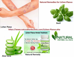 If an Individual is not feeling comfortable they can apply Natural Remedies for Lichen Planus to decrease the symptom because of the skin condition.
