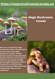 Still, confused about the benefits and quality of the magic mushrooms? Do not stress it more, as one can buy high-quality magic mushrooms online easily. And to know about its benefits kindly check out the website!
