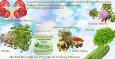 There are few studies to show if herbal supplements have real benefits in Natural Remedies for Polycystic Kidney Disease and even less information in patients with kidney disease.
