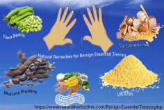 Fava Beans are a very popular element used in Natural Remedies for Benign Essential Tremor. Fava beans are a strong protein-rich with a variety of nutritional elements. The beans comprise high concentrations of thiamin, vitamin B-6, copper, vitamin K, selenium, potassium, magnesium, and zinc.