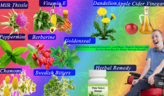 Berberine is a tremendously valuable herbal component used in Natural Remedies for Motor Neuron Diseases without any side effects.