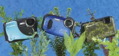 Are you going to buy an underwater camera? Check out our best underwater camera TOP 10 where we review the best waterproof cameras. Compare all cameras here.For details go to: https://onderwatercamerakopen.com/
