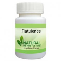 Herbal Treatment for Flatulence - Natural Herbs Clinic
Herbal Treatment for Flatulence read the Symptoms and Causes. Flatulence is the passing of air or gas from the intestine and through the anus, often accompanied by a sound and smell.
https://www.naturalherbsclinic.com/product/flatulence/