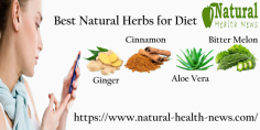 Cinnamon, Ginger, Aloe Vera, Milk Thistle, Bitter Melon, Parsley, Basil, thyme, rosemary, and dill are all Herbs Good for Diabetes and many other diseases.
