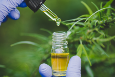The CBD market has been up and coming throughout the US and the rest of the world, so it’s no surprise that in the UK, CBD’s popularity is rising.

https://www.manchestereveningnews.co.uk/special-features/best-cbd-oil-uk-top-19424798
