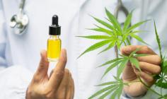 CBD is the short name for cannabidiol. CBD oil is extracted from the cannabis Sativa plant, which is dried and used as marijuana. CBD has also had some role in treating certain types of seizures. It is proven as a practical element to treat various illnesses; you can also buy premium CBD to get rid of different chronic diseases. 
For details go to: https://cannabis.net/dispensaries/dosage-benefits-cbd-oil
